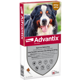 Advantix 600/3000 (40 - 60 kg) 4 pipetten